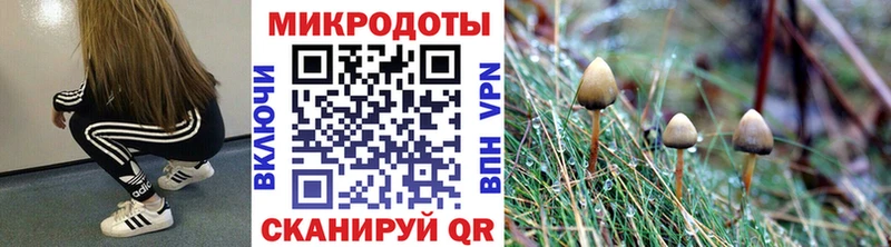 Псилоцибиновые грибы прущие грибы  Рассказово 