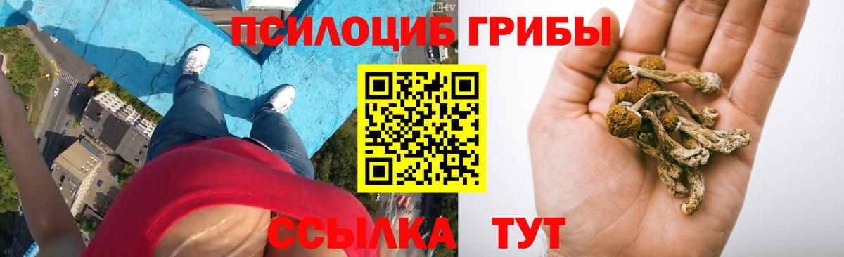 Меф МЯУ МЯУ кристаллы  ГАШИШ  Марихуана  Кокаин  Как найти наркотики?  Рассказово  Вход с VPN  Экстази 